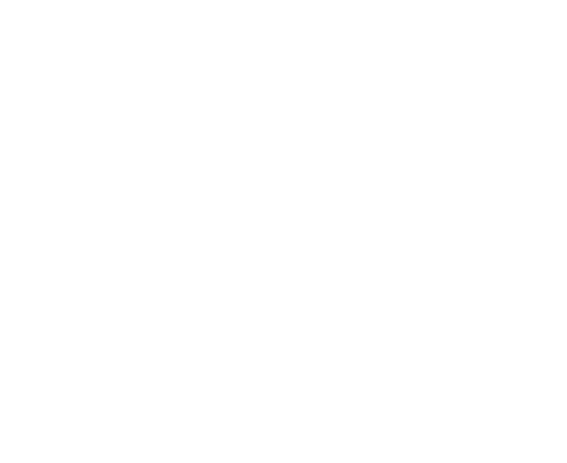 Punto D logo blanco