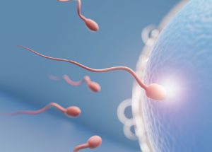 Fertilidad