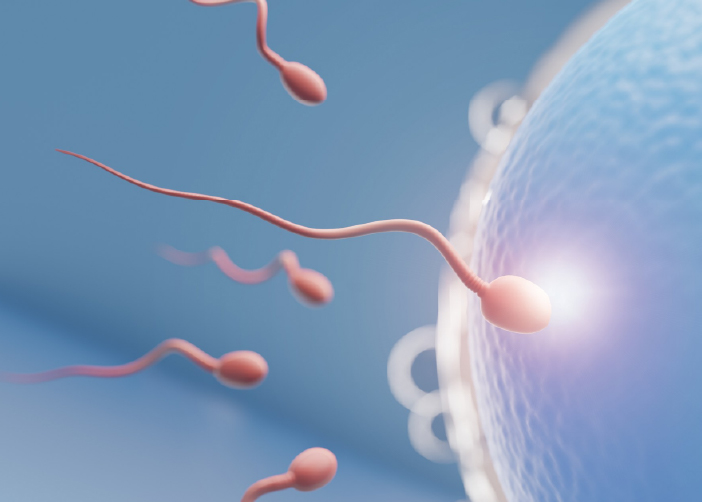 Fertilidad